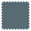 Panama Blueberry Skin