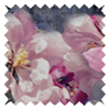 Paradise Berry