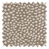 Speckle Portobello