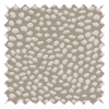 Speckle Shell