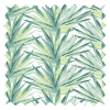 Aloe Lima Roller Blind