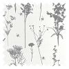 Winter Fern