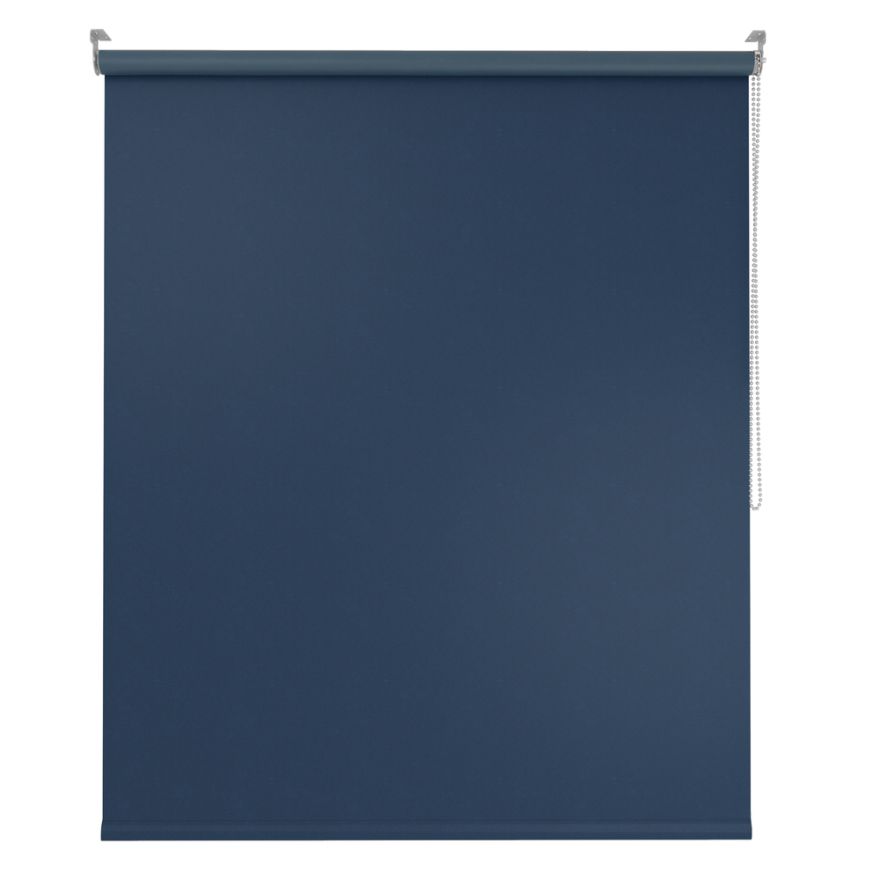 Palate Dragon Blue Roller Blind