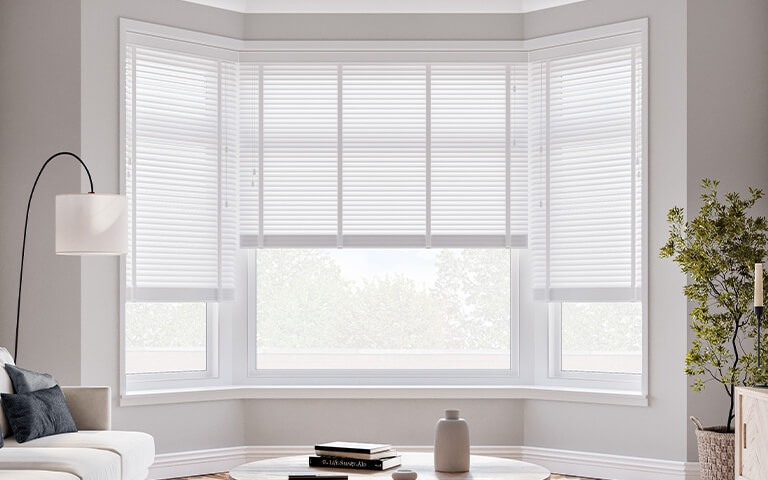 Venetian Blinds